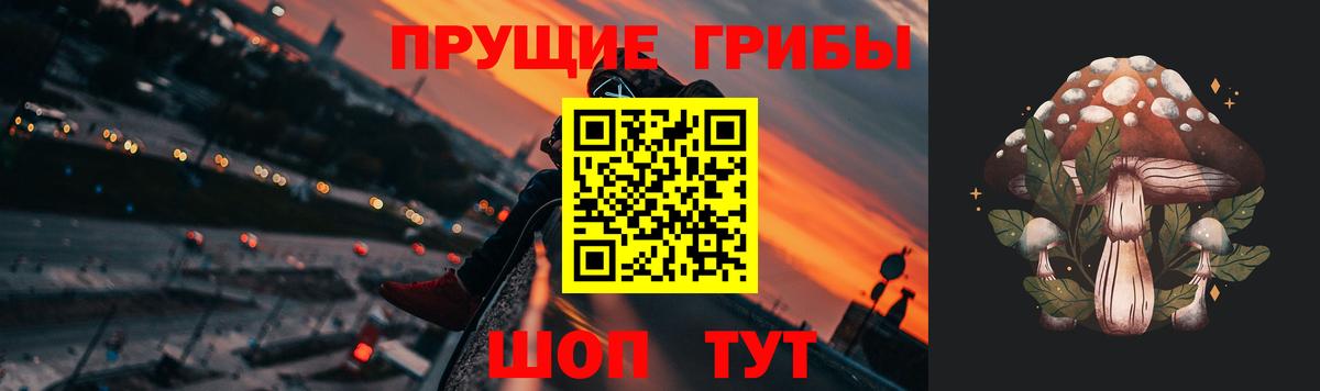 Кашира  Галлюциногенные грибы Cubensis  Вход с VPN  Псилоцибиновые грибы MAGIC MUSHROOMS 